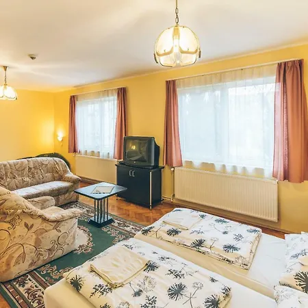 Apartment Erzsebet Panzio Gyula