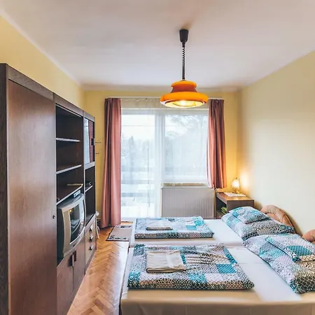 Apartment Erzsebet Panzio Gyula