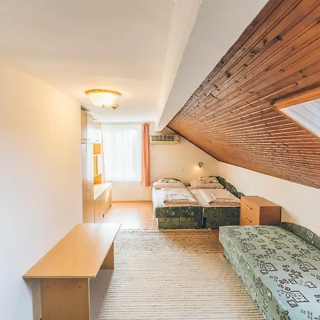 Erzsebet Panzio Apartment *